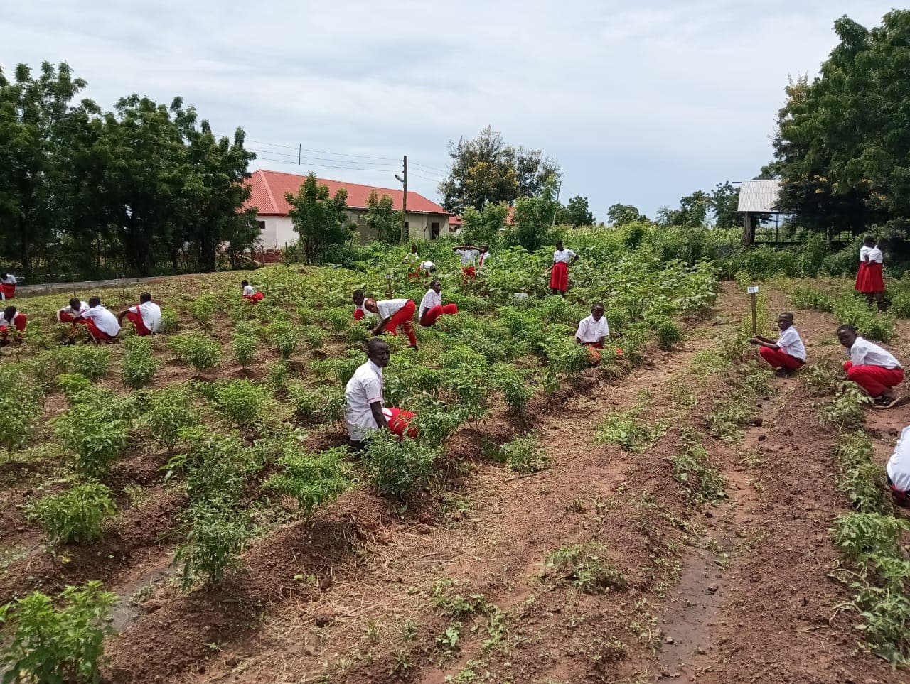 Northern College of Science and Technology Adjudged Best Educational Institution in Agriculture in N/R