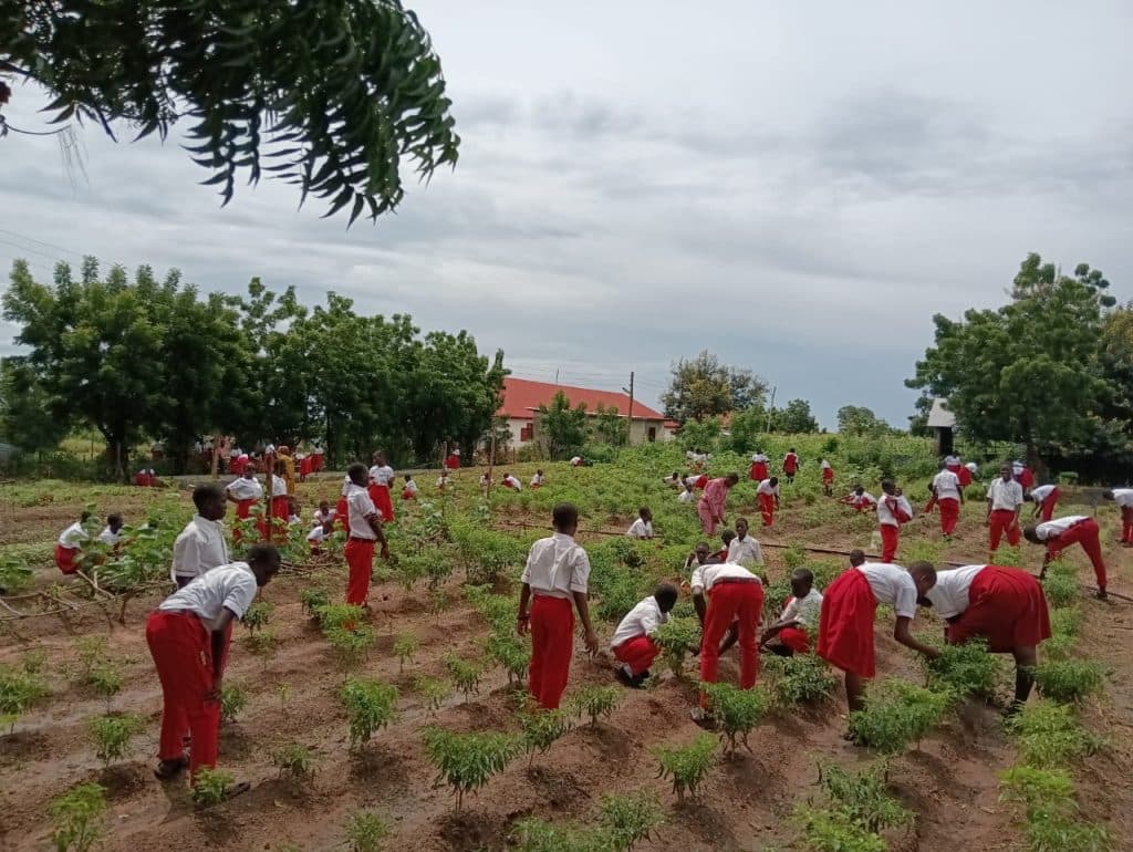 School events